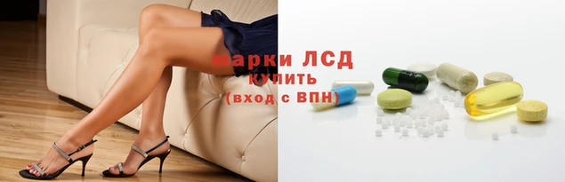 spice Нея