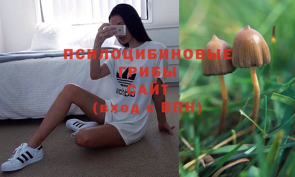 стафф Нефтегорск