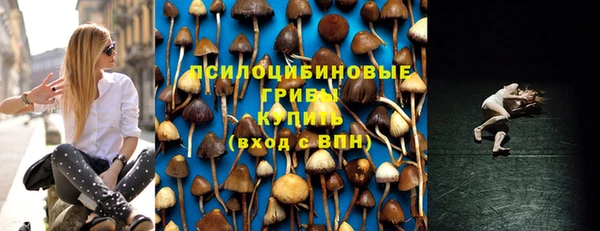 стафф Нефтегорск