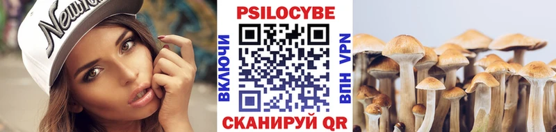 Псилоцибиновые грибы мицелий  Тамбов 